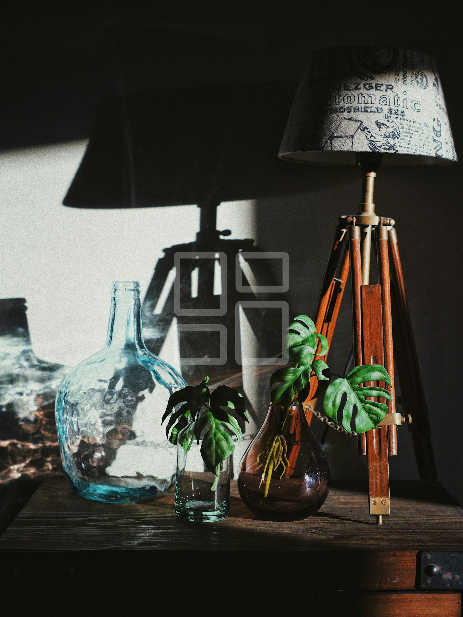 Image example home