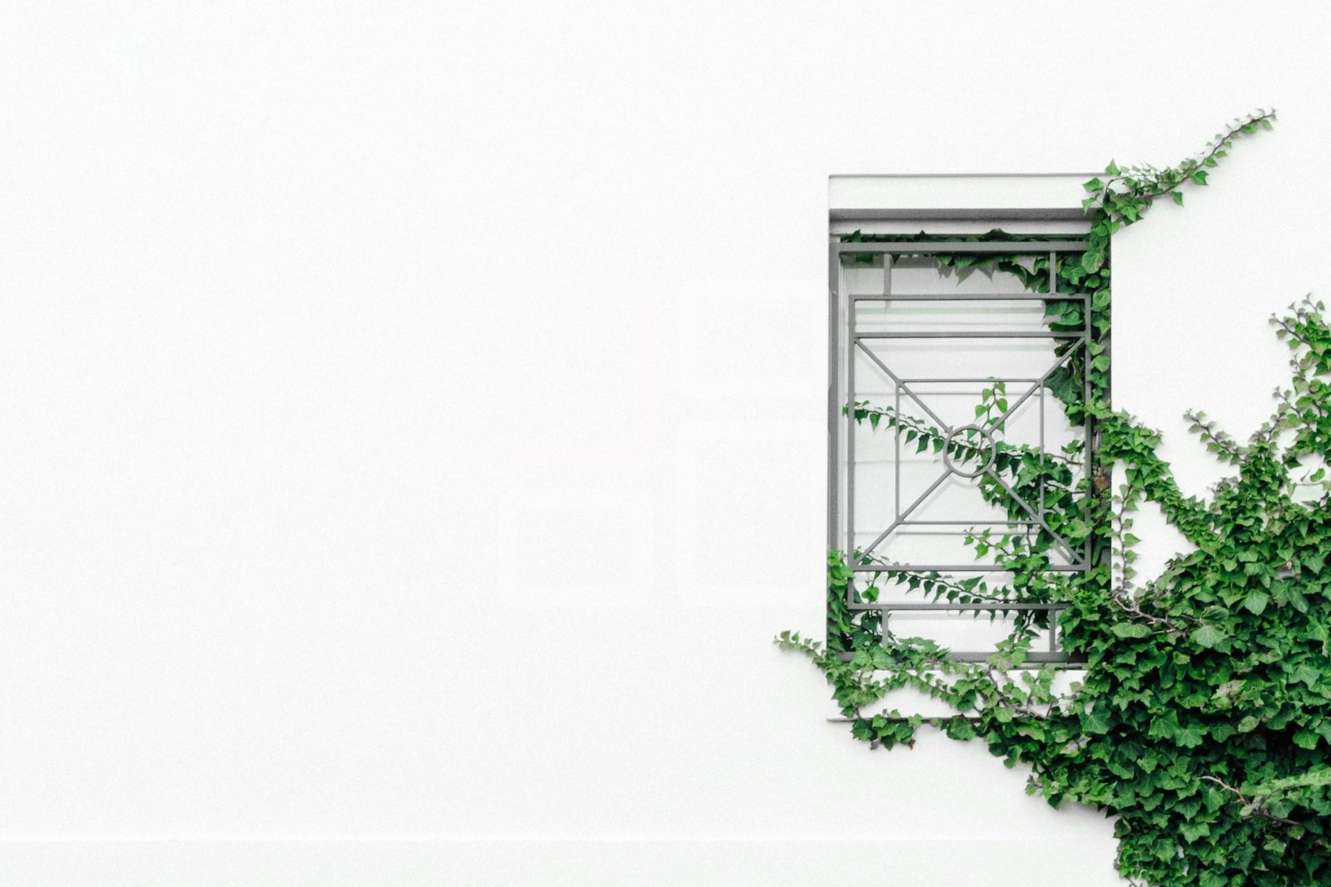 Image example home