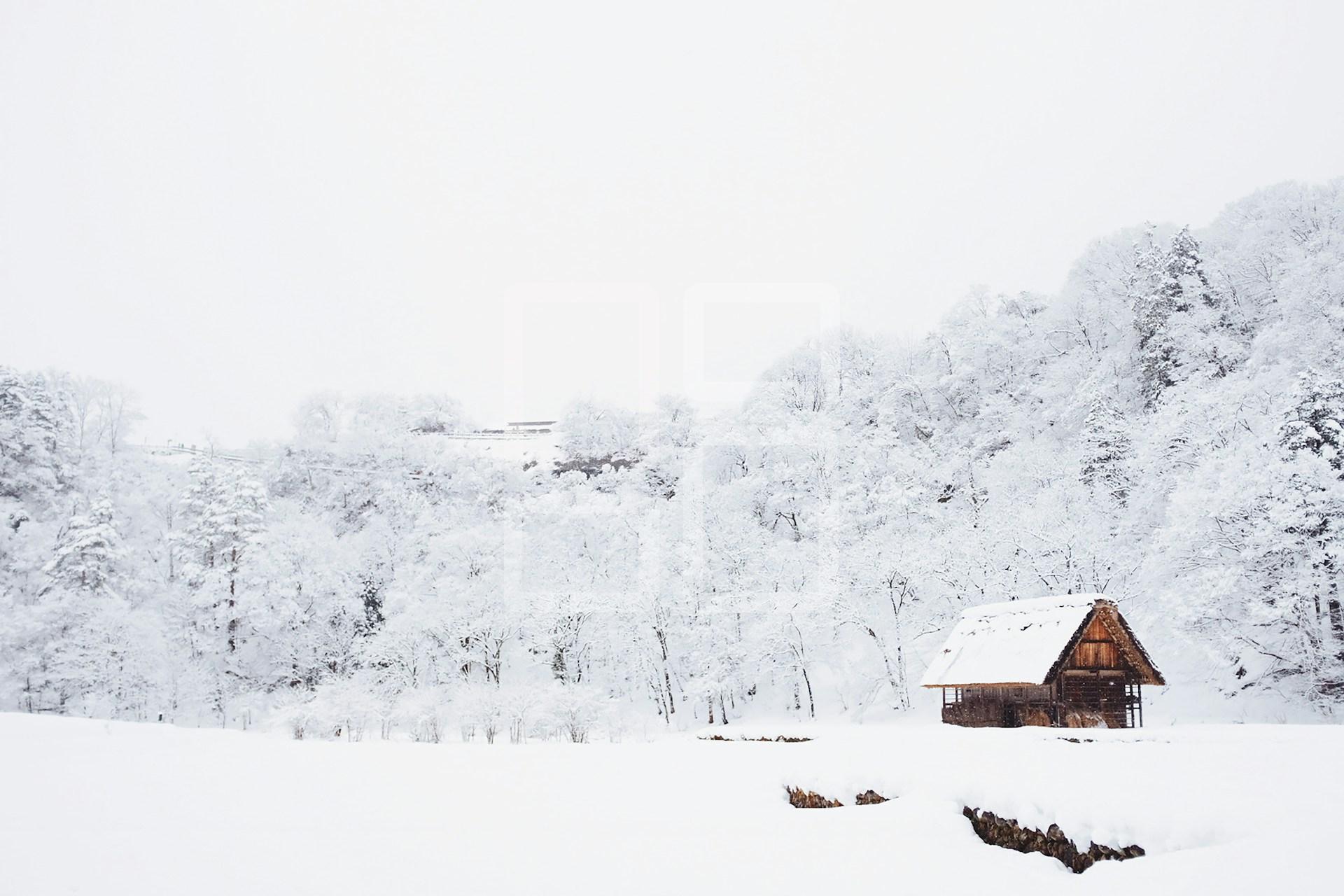 Image example home