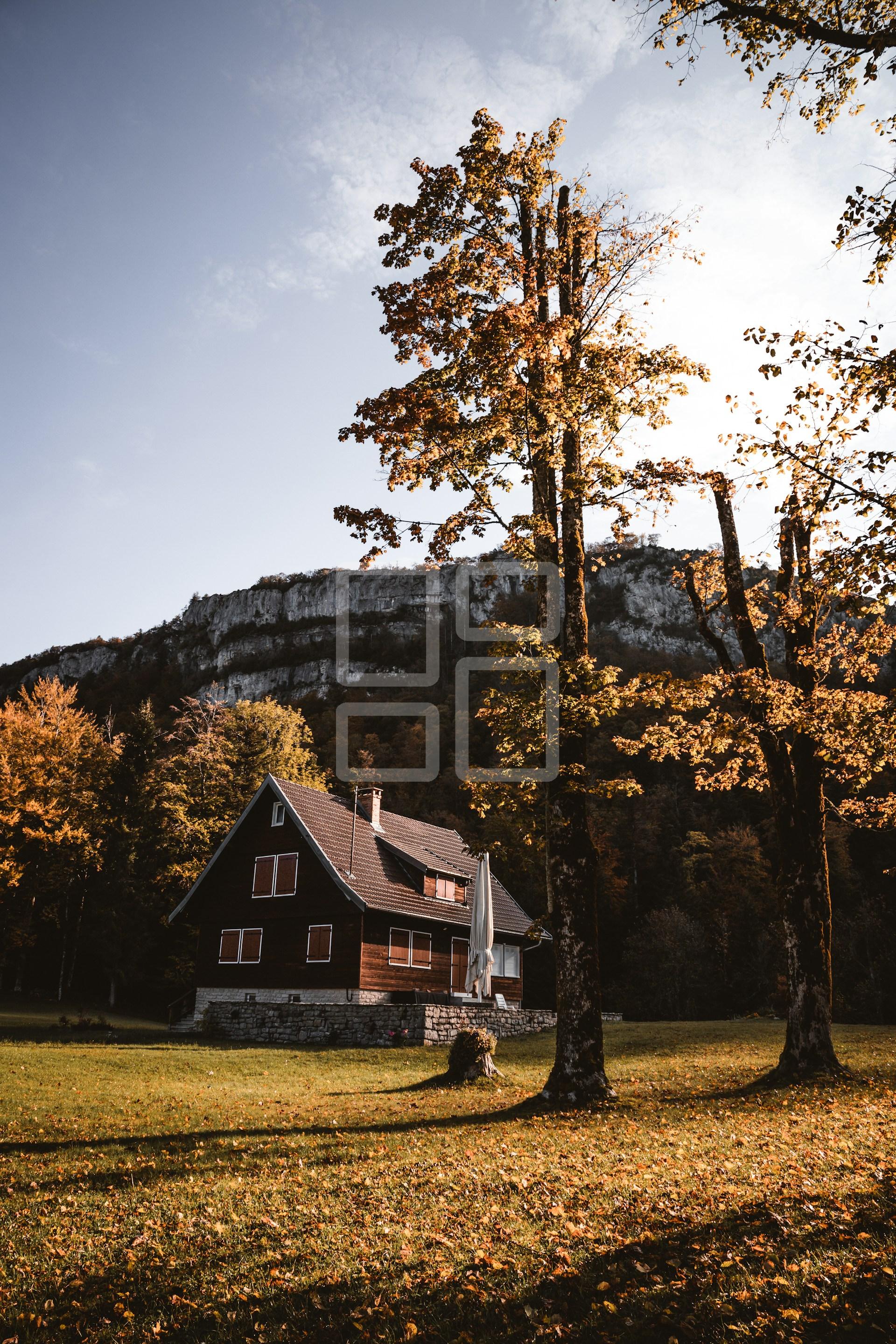 Image example home